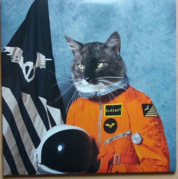 Klaxons – Surfing The Void (Vinyl, 2xLP, Album, Record Store Day, Reissue, Orange [Semi-Translucent], 180 g, 2020)