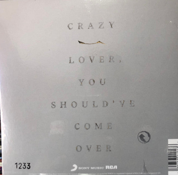 Nothing But Thieves – Crazy (Vinyl, 7", 45 RPM, Record Store Day, Single, Limited Edition, Numbered, 2018) – photo 2