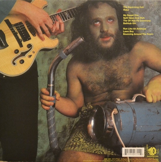 Phish – Lawn Boy (Vinyl, LP, Single Sided, Etched, Album, Reissue, Remastered, Gatefold, 2013) – photo 3