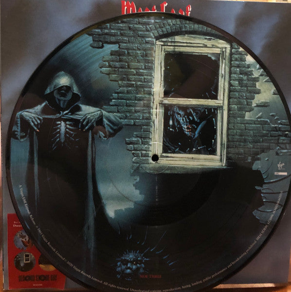 Meat Loaf – Bat Out Of Hell II: Back Into Hell (Vinyl, 2xLP, Album, Picture Disc, Reissue, 2020) – photo 4