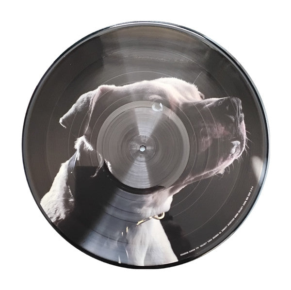Roger Waters – The Dark Side Of The Moon Redux (Vinyl, LP, Album, Record Store Day, Numbered, Picture Disc, 2024) – photo 4